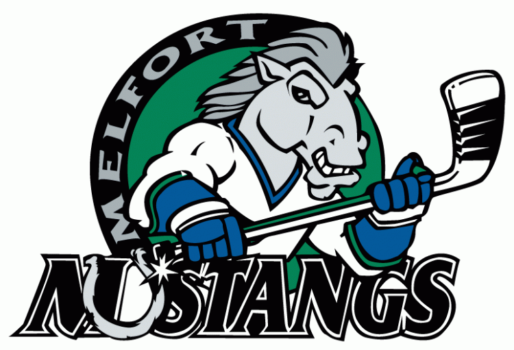 Melfort Mustangs 2001-Pres Primary Logo iron on heat transfer